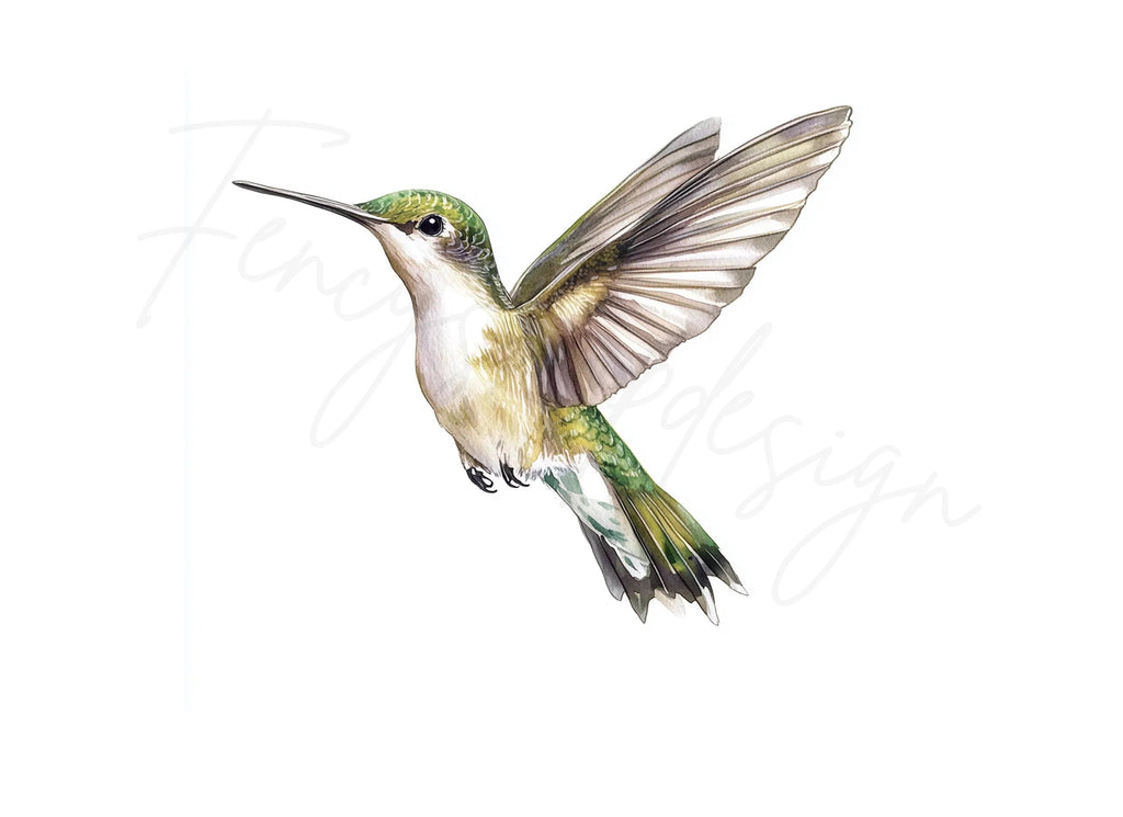 Hummingbird Clipart Bundle