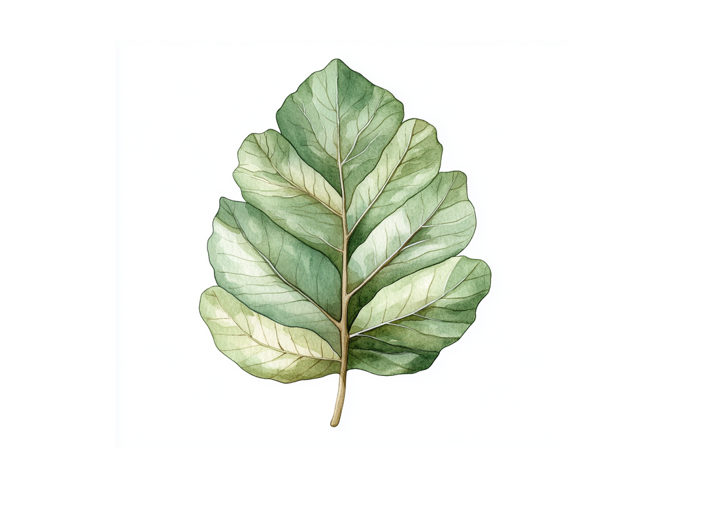 Botanical Leaves Clipart Bundle