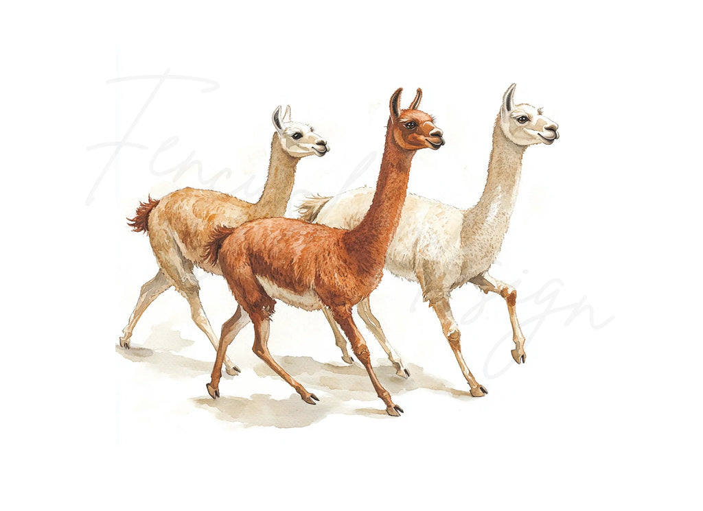 Llama Herd Clipart Bundle