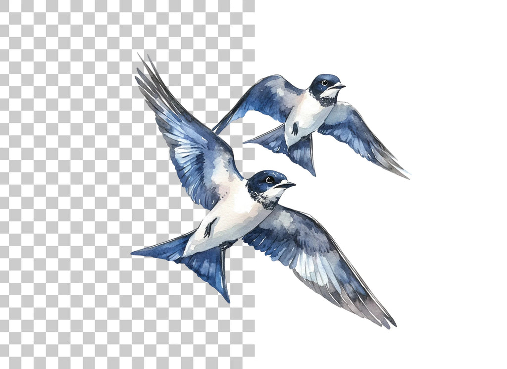 Dynamic Swallow Flight Clipart Bundle