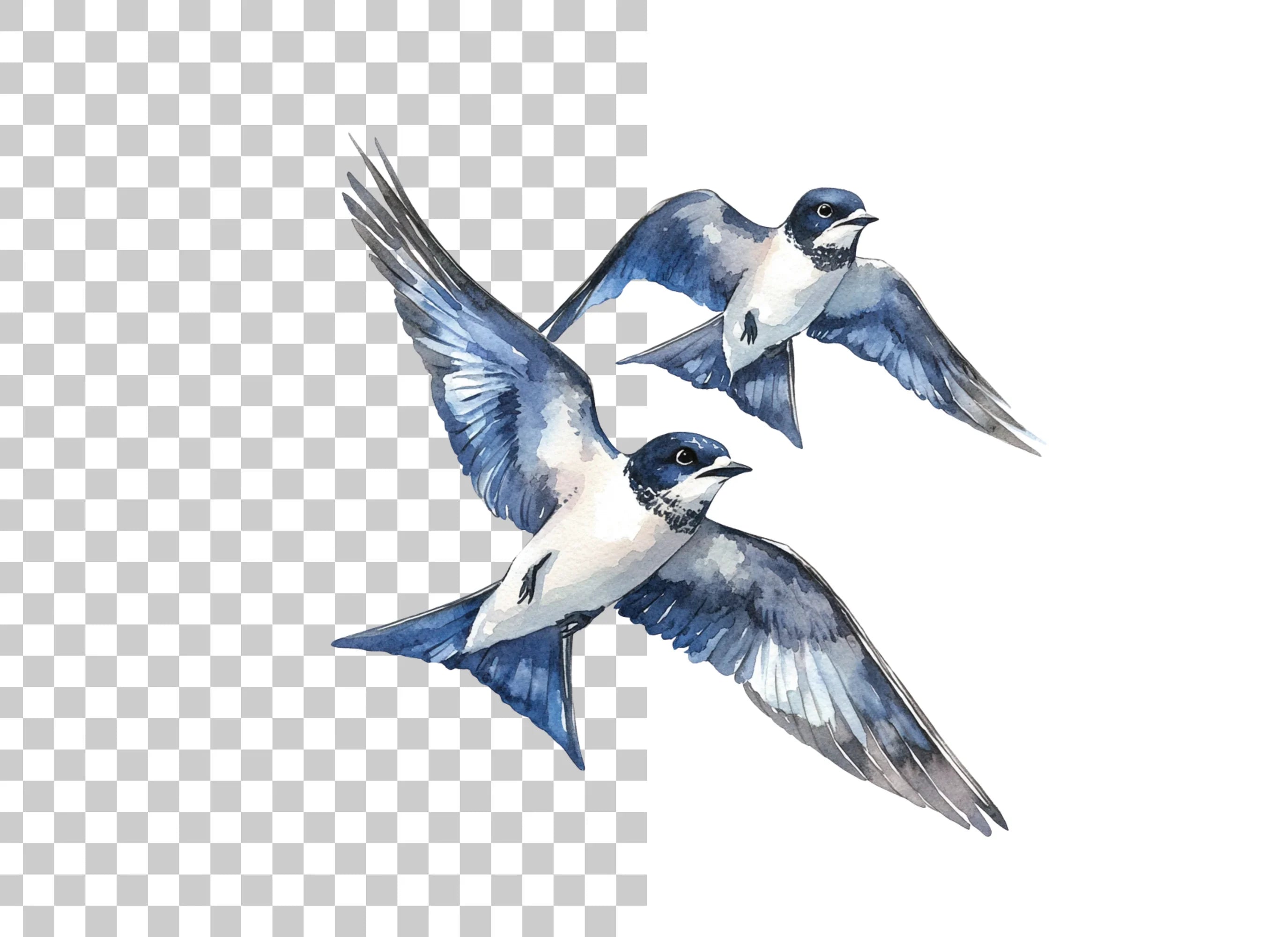 Dynamic Swallow Flight Clipart Bundle