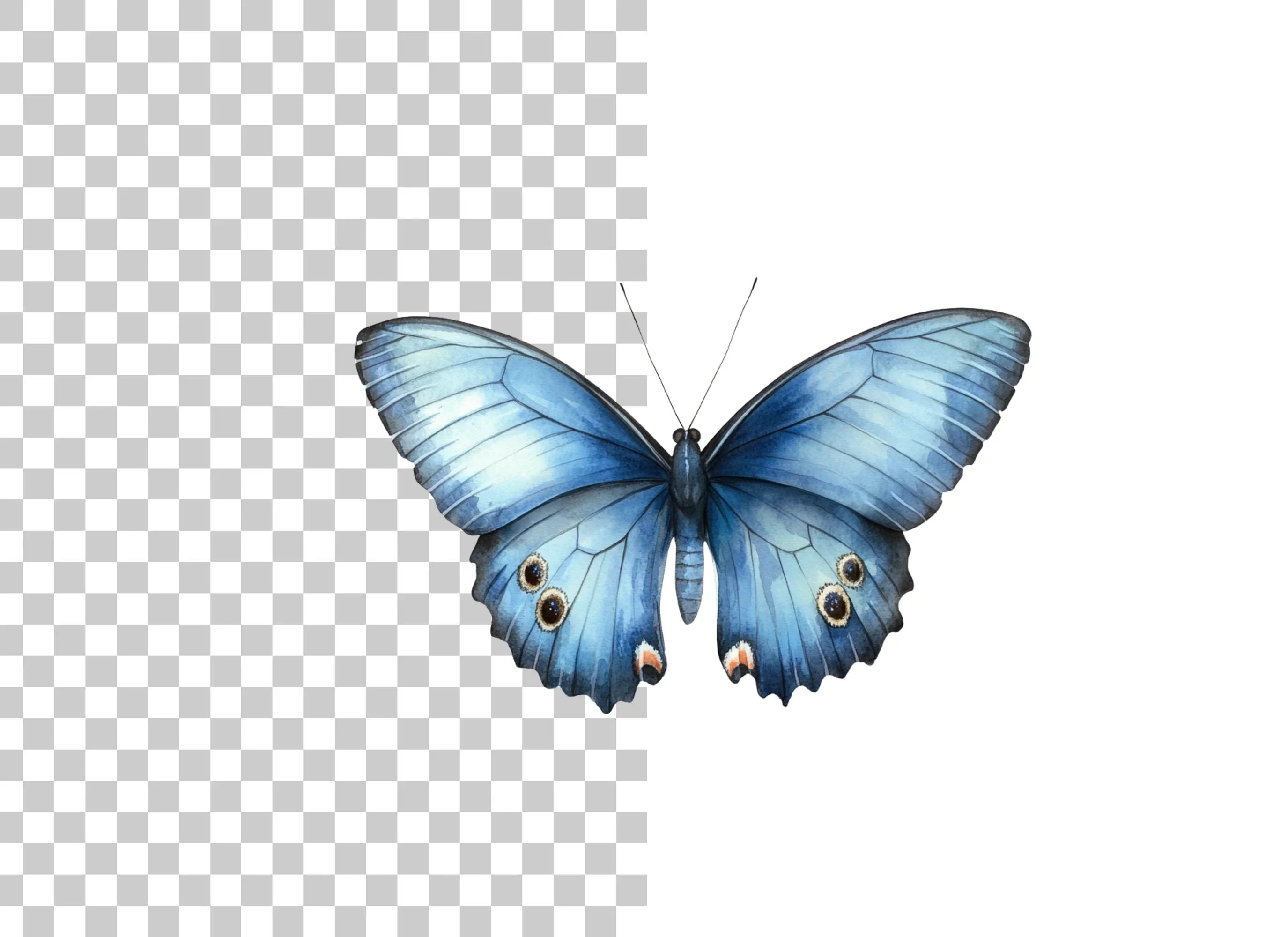 Blue Butterfly Clipart Bundle