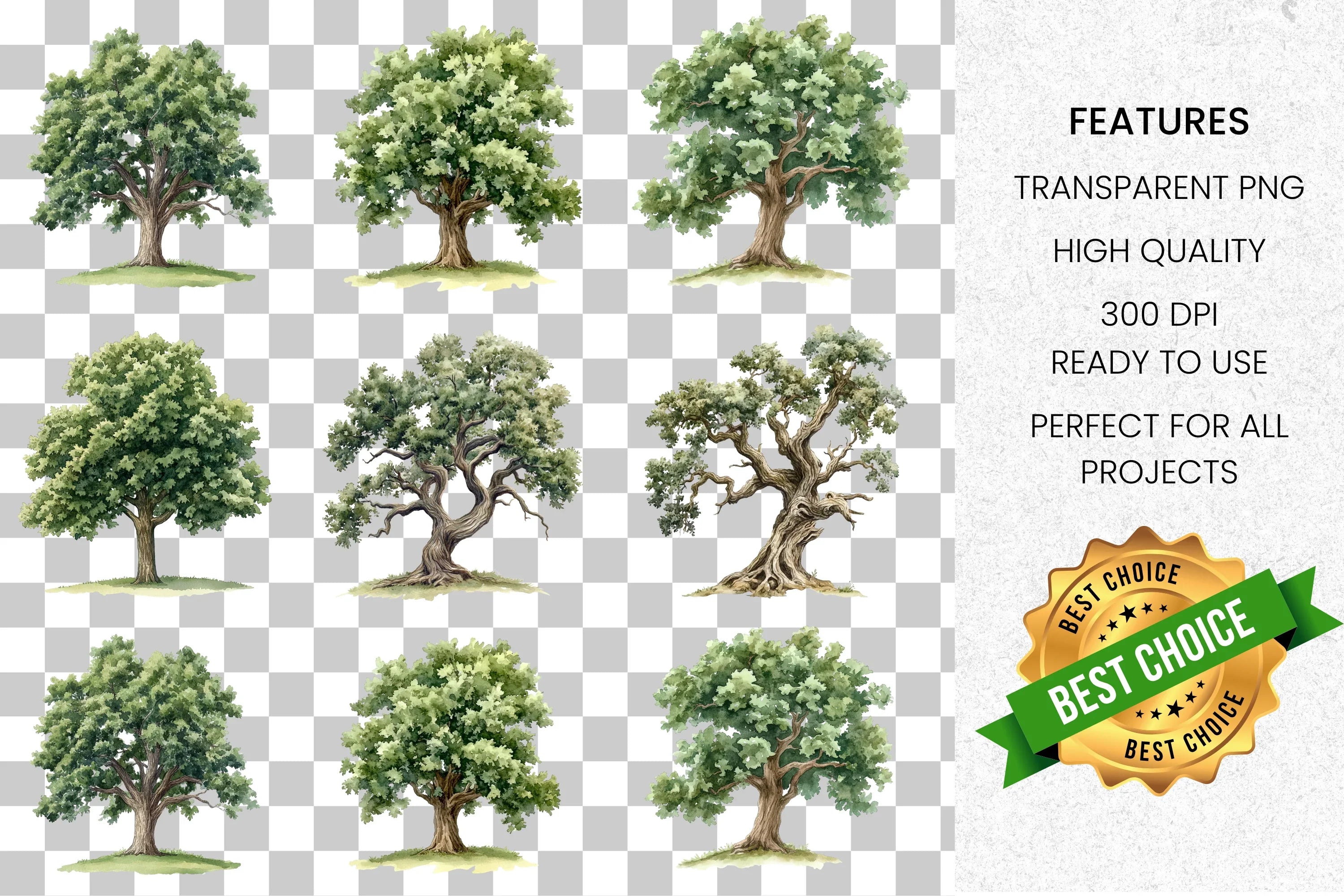 Realistic Tree Clipart Bundle