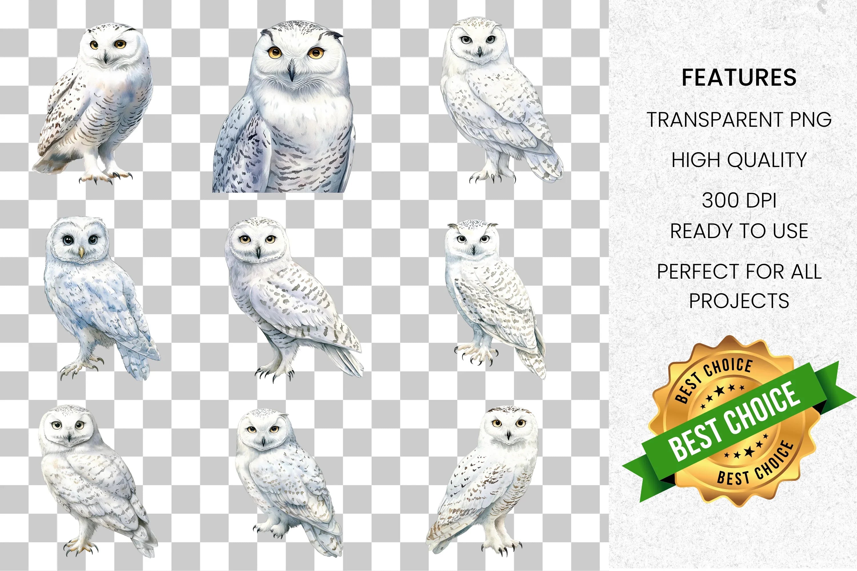 Majestic Snowy Owl Clipart Bundle