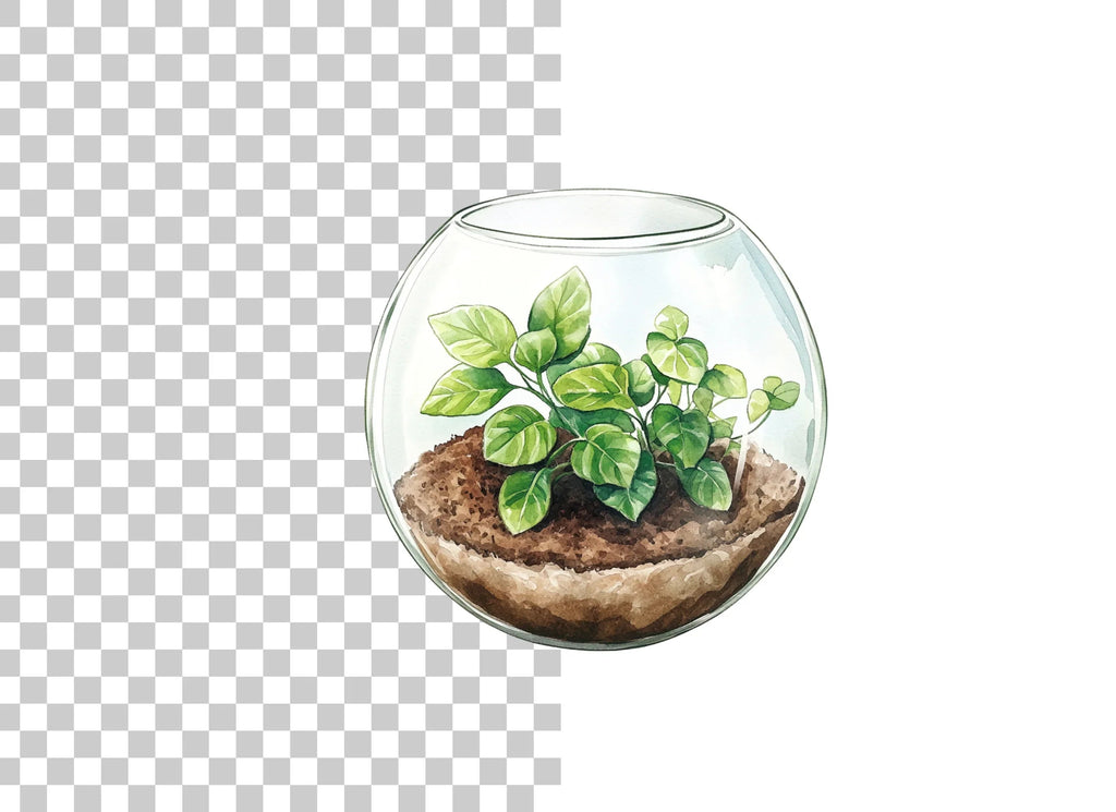 Miniature Plant Terrariums Clipart Bundle