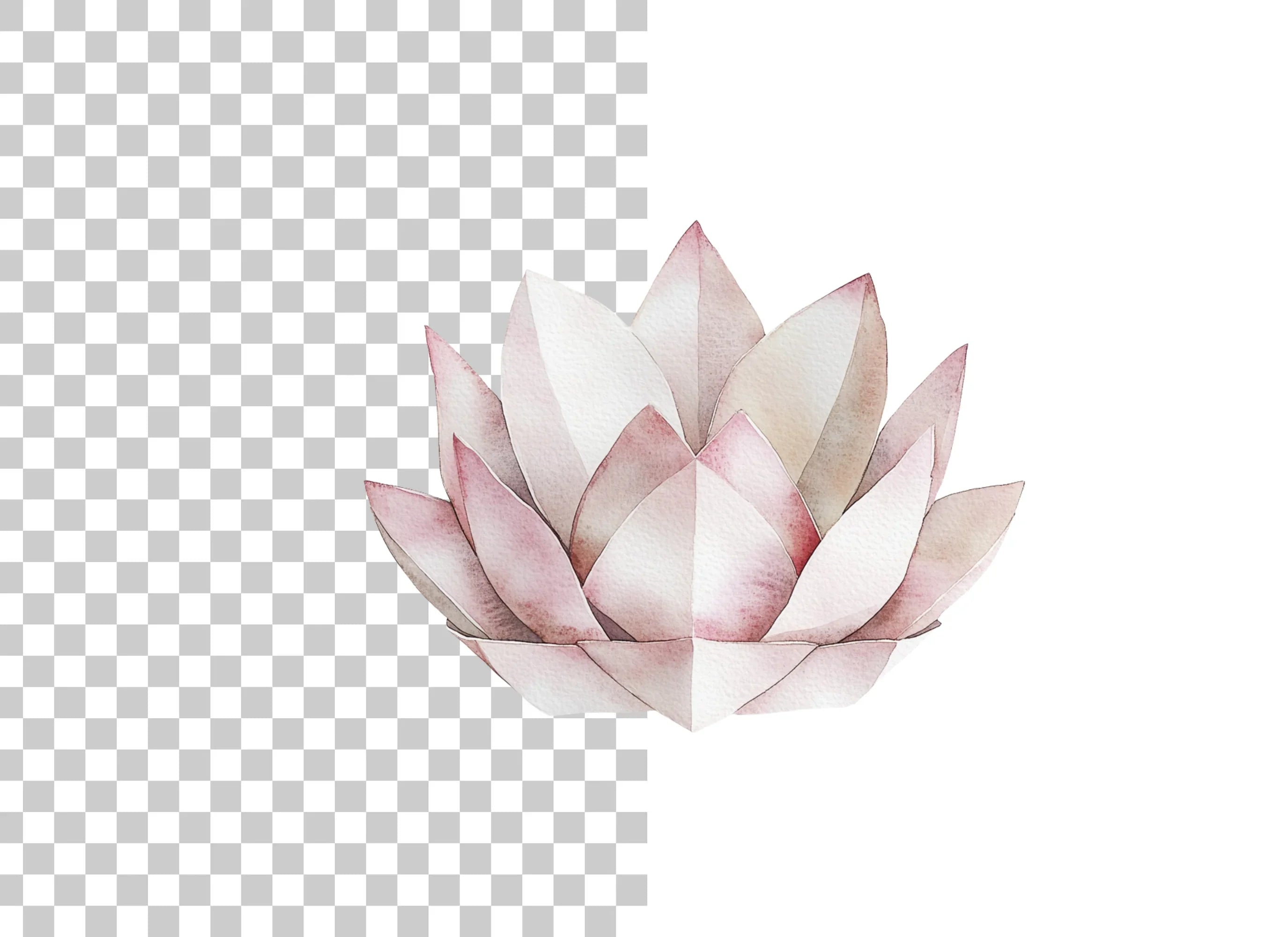 Lotus Flower Clipart Bundle