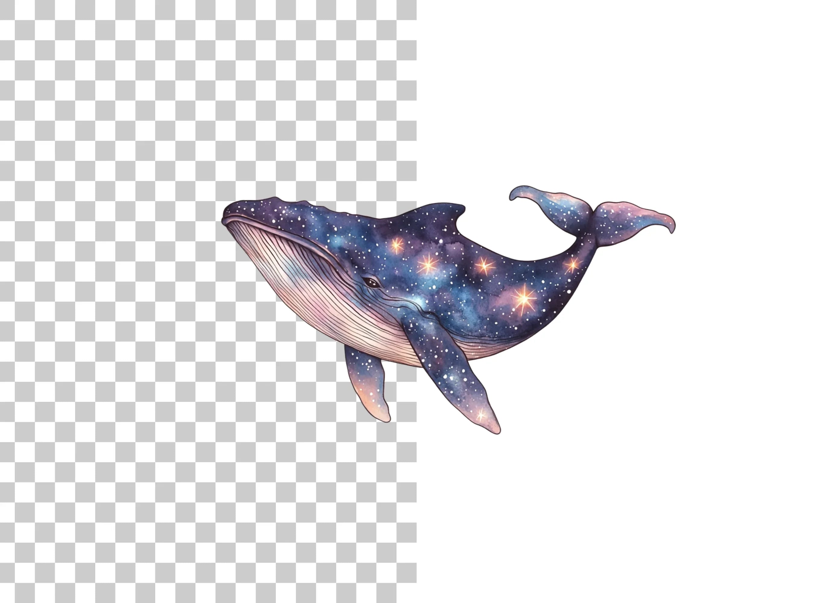 Whale Galaxy Clipart Bundle