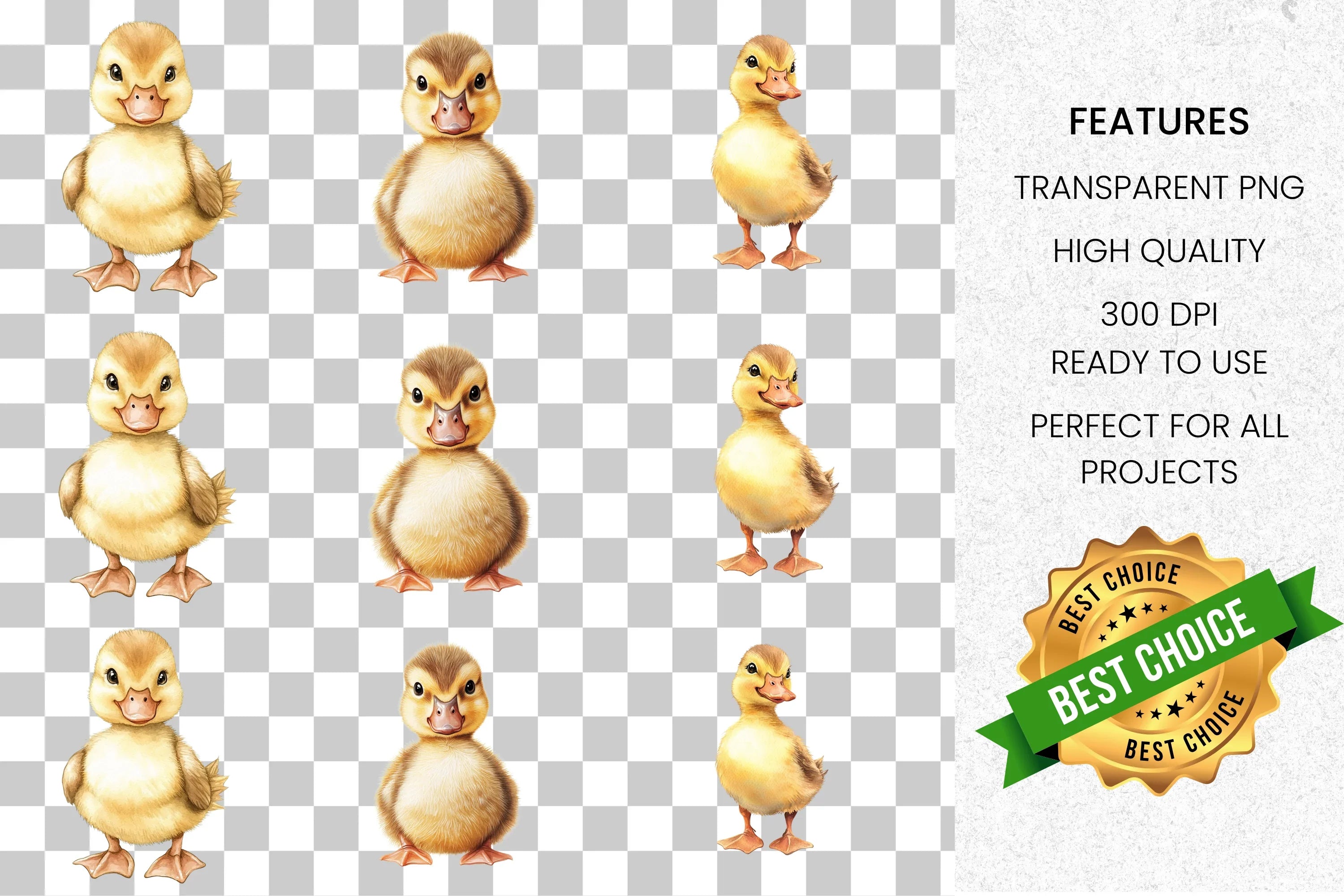 Adorable Baby Ducklings Clipart Bundle