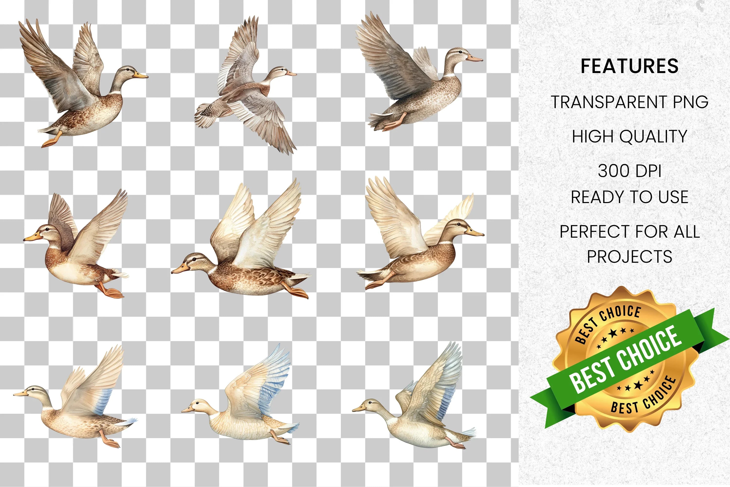 Graceful Flying Ducks Clipart Bundle
