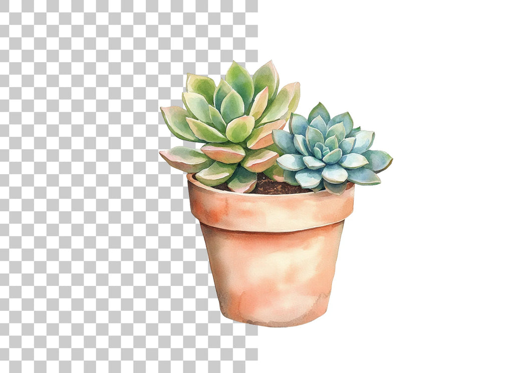 Succulent Plants Clipart Bundle