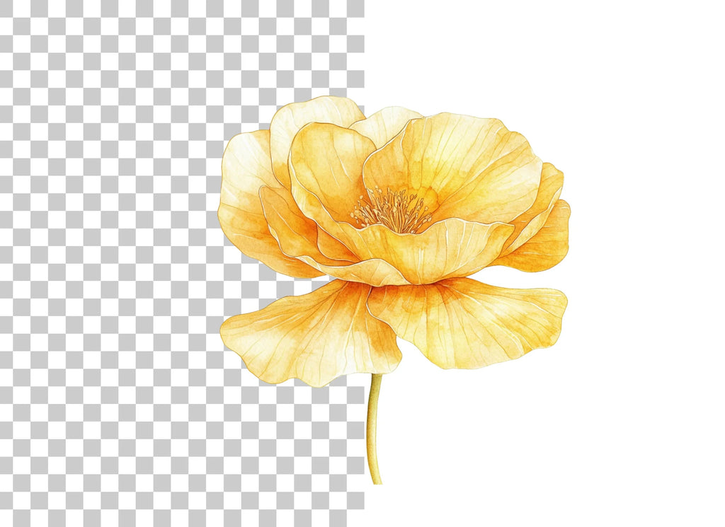 Yellow Poppy Flower Clipart Bundle