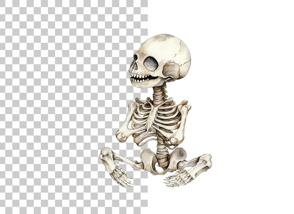 Baby Skeleton Clipart Bundle