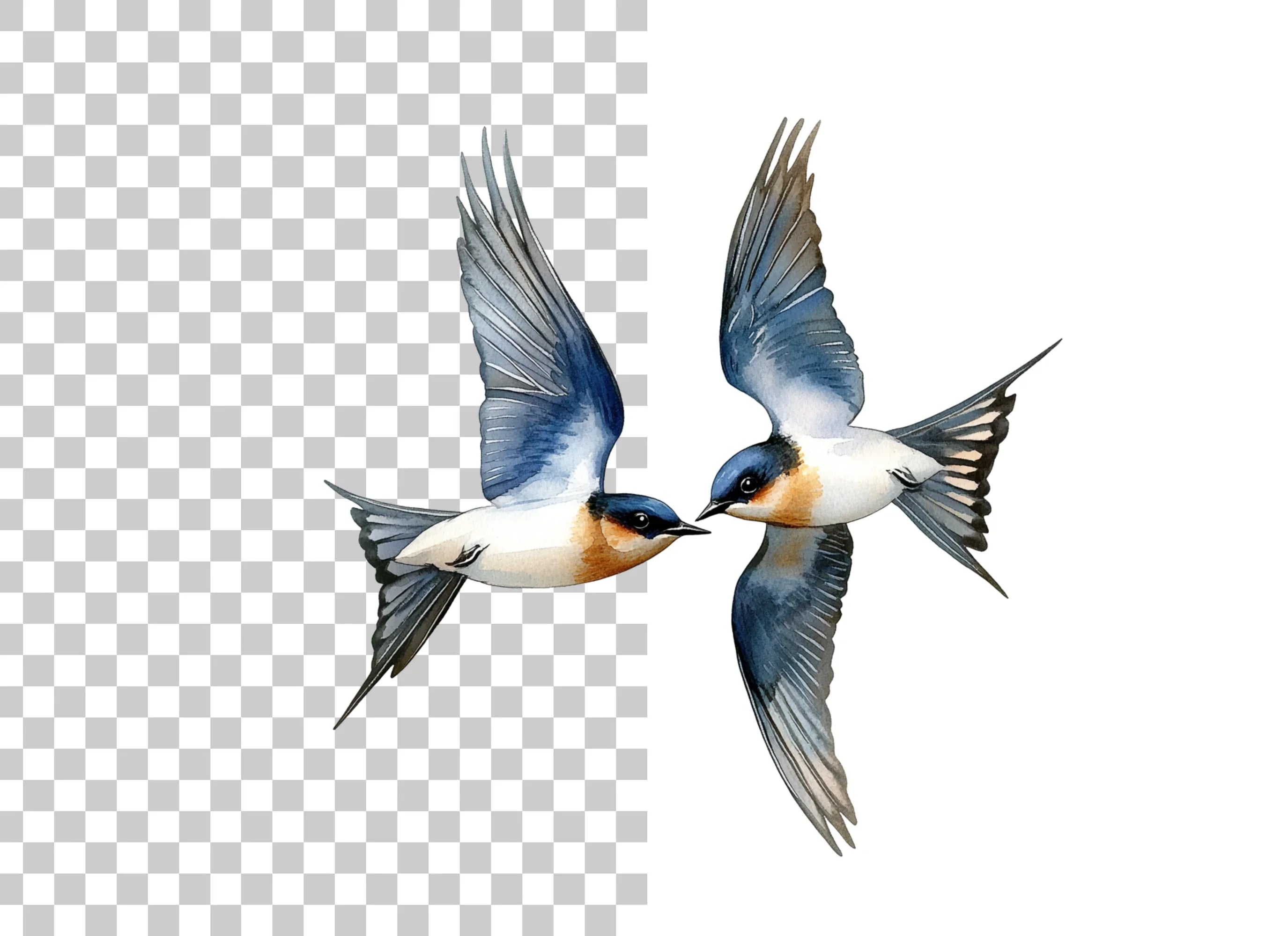 Flying Swallows Clipart Bundle