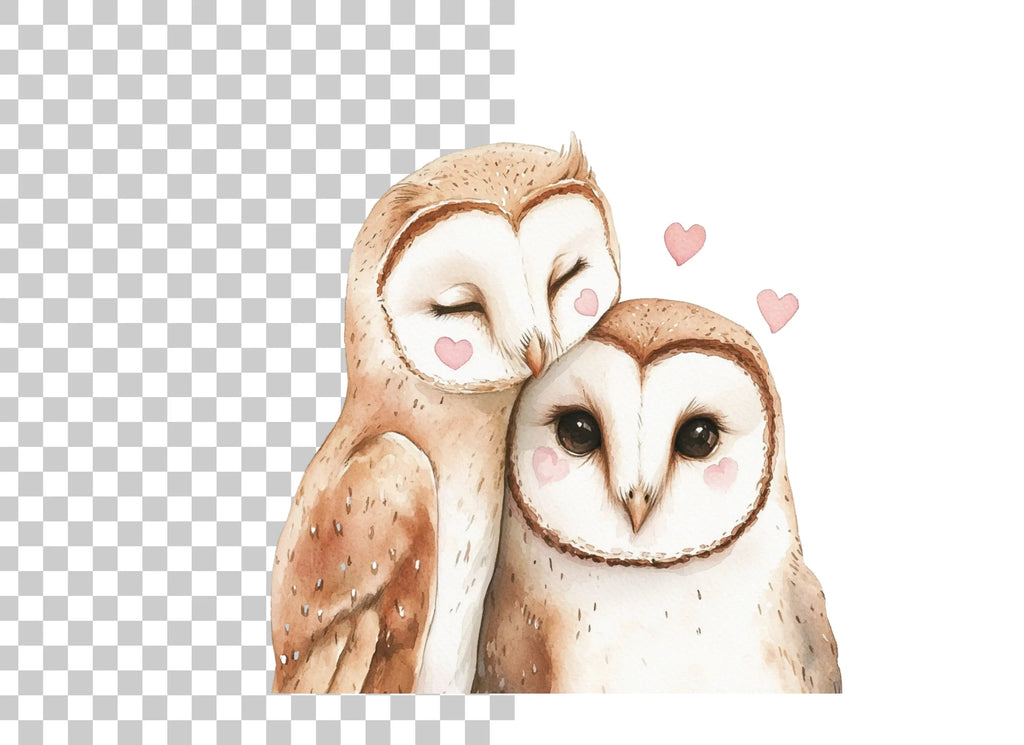 Cute Barn Owl Couple Clipart Bundle
