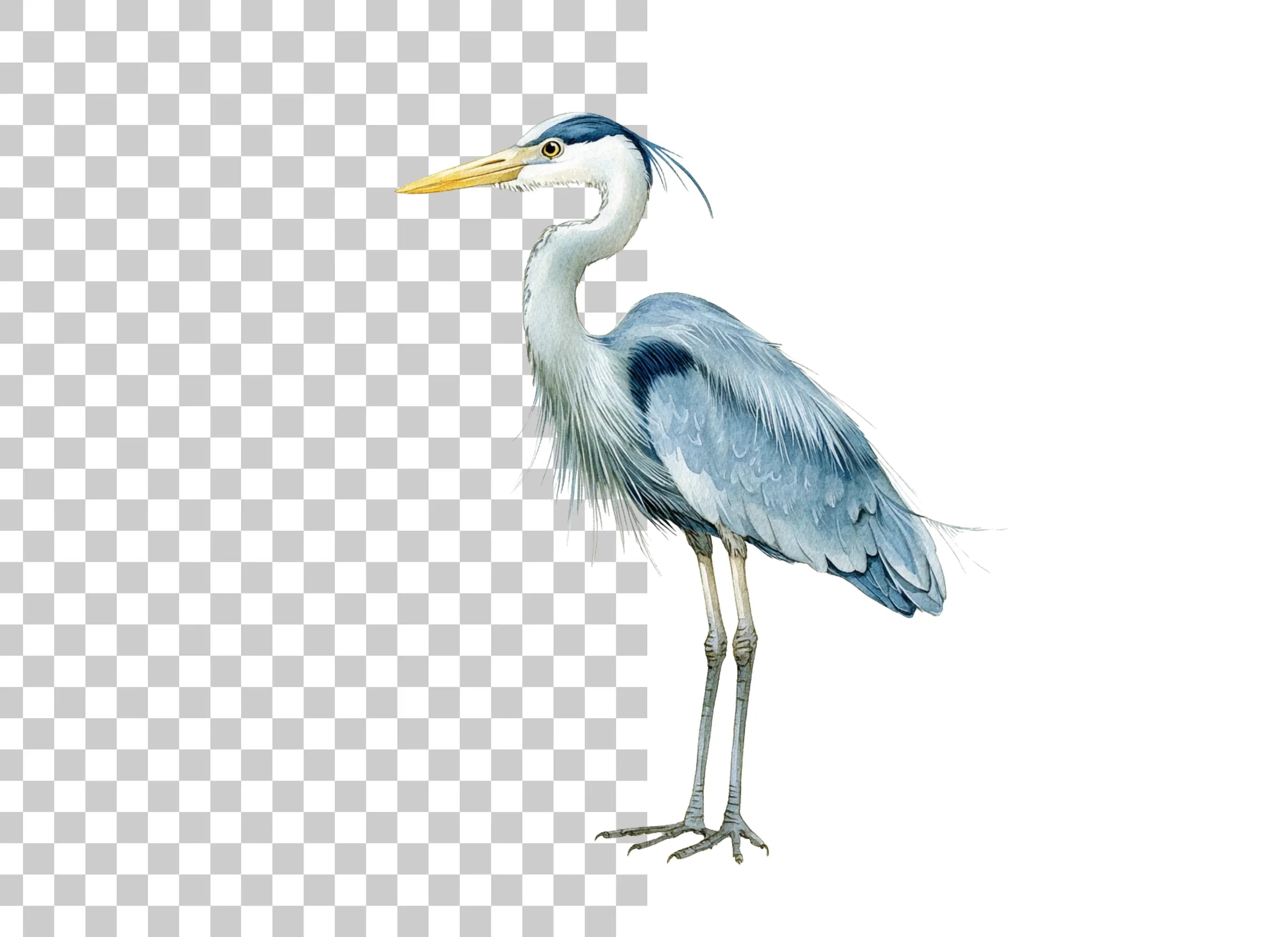 Elegant Heron Bird Clipart Bundle
