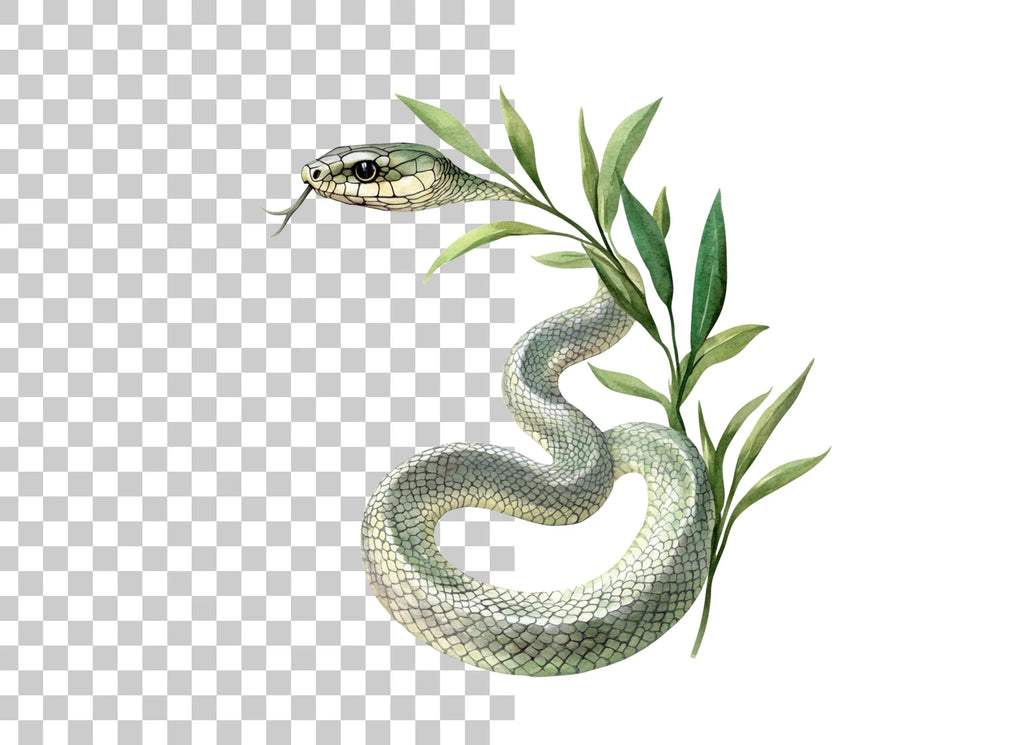 Green Snake with Olive Branch Clipart Bundle