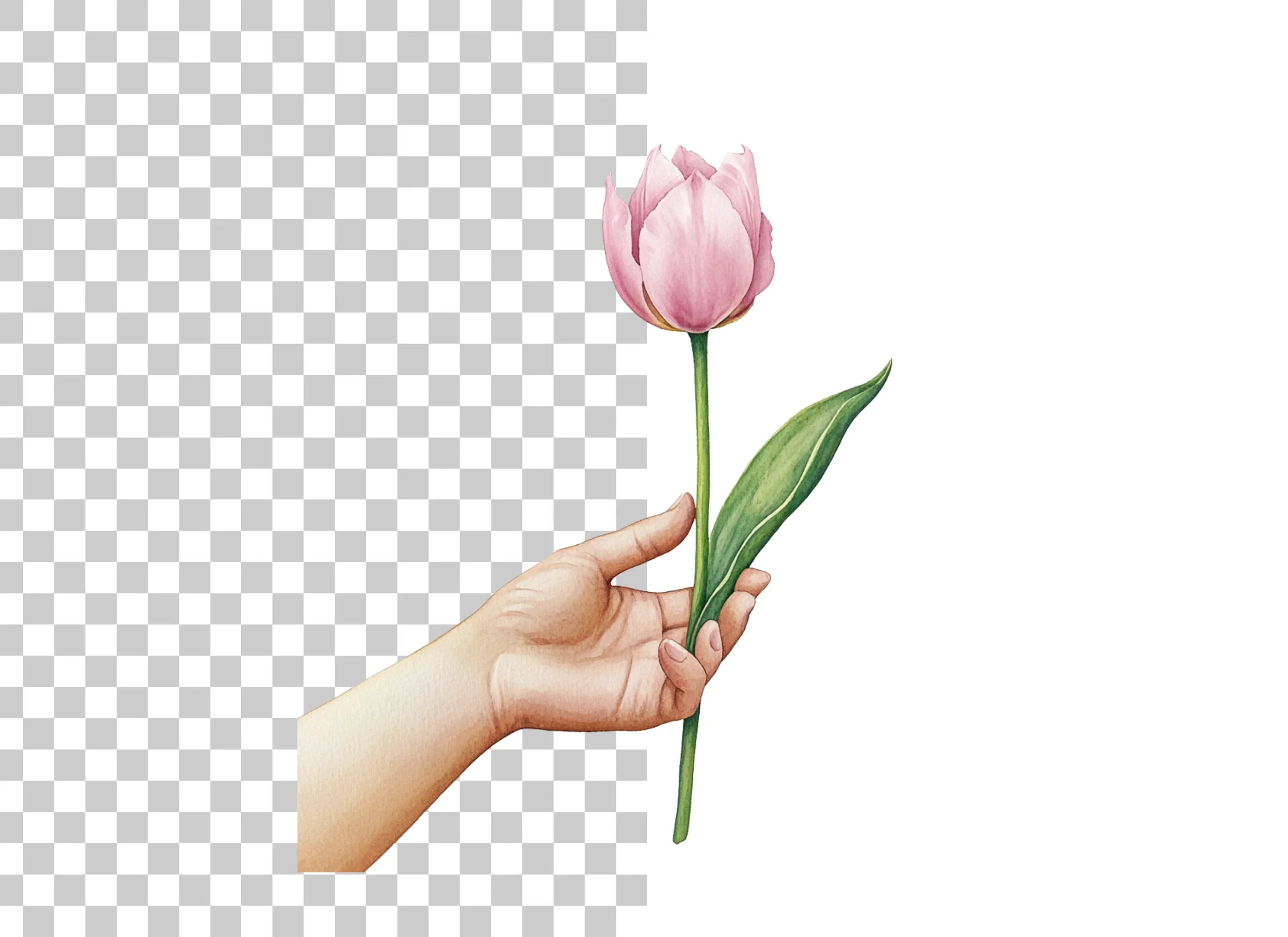 Elegant Pink Tulip Clipart Bundle