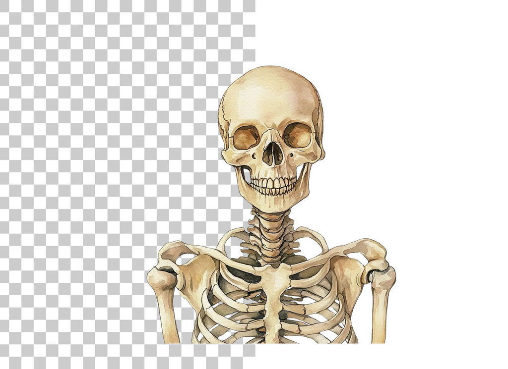 Human Skeleton Clipart Bundle