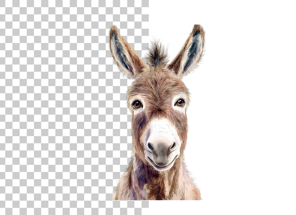 Cute Donkey Face Clipart Bundle