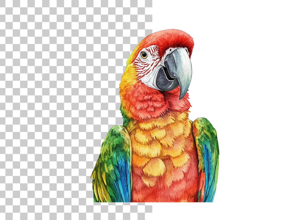 Vibrant Macaw Parrot Clipart Bundle