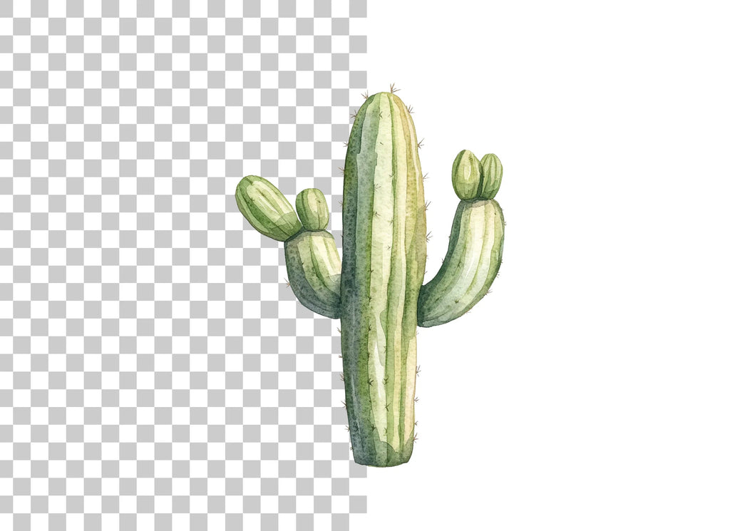 Saguaro Cactus Clipart Bundle