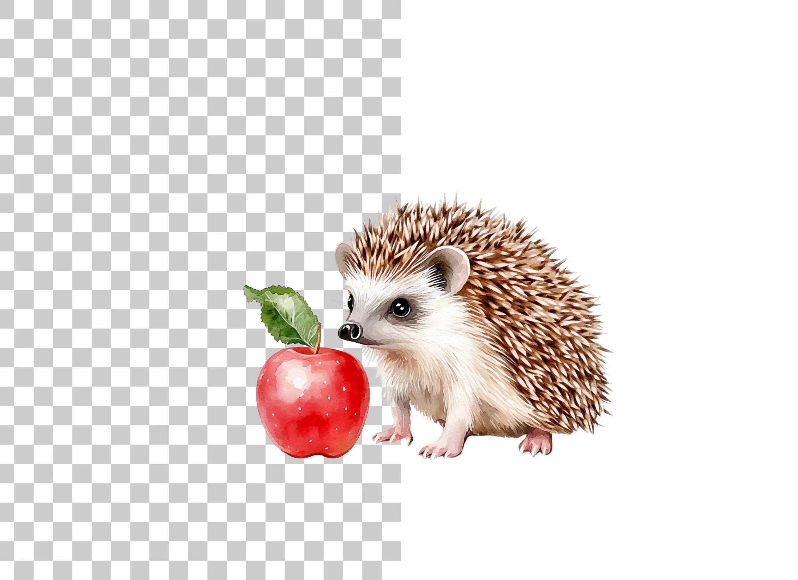 Hedgehog and Apple Clipart Bundle