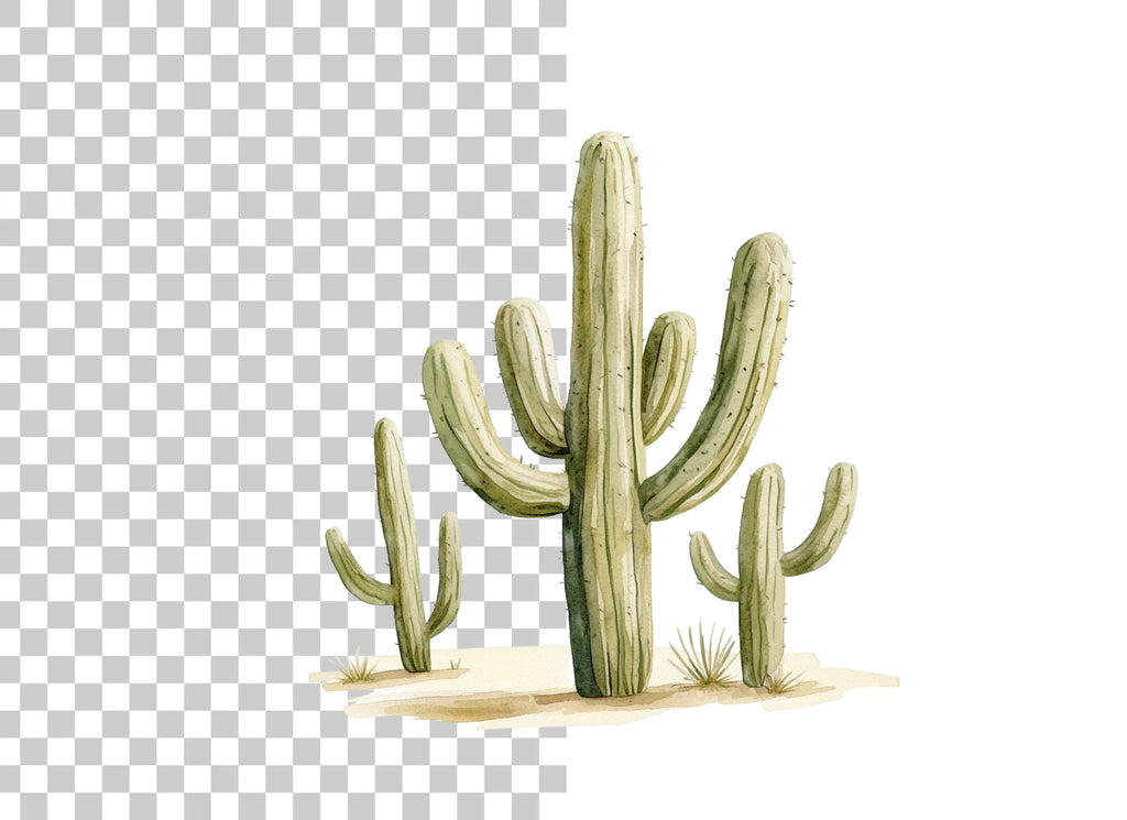 Tall Saguaro Cactus Clipart Bundle