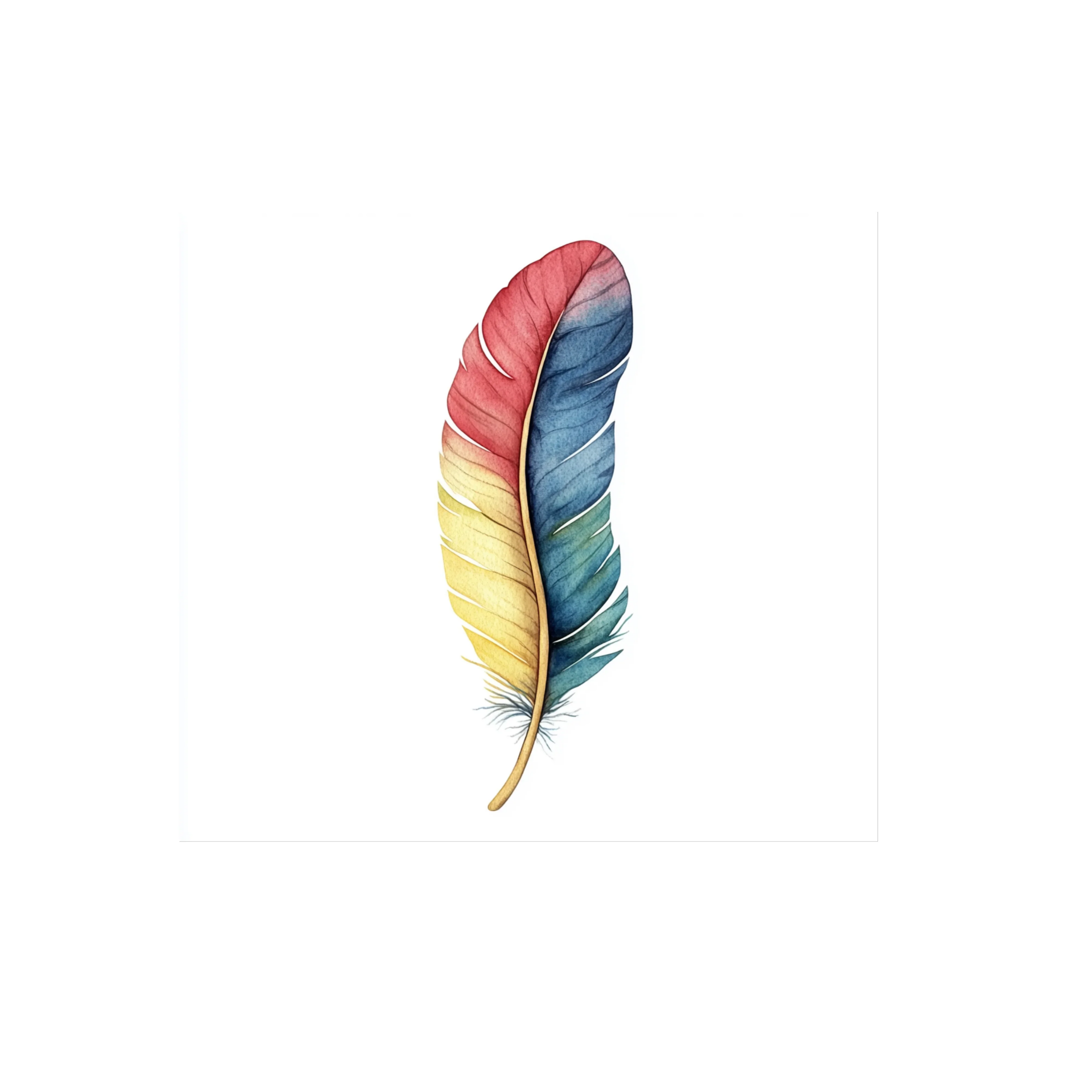 Vibrant Feathers Clipart Bundle