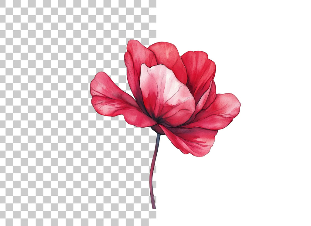 Vibrant Red Flower Clipart Bundle