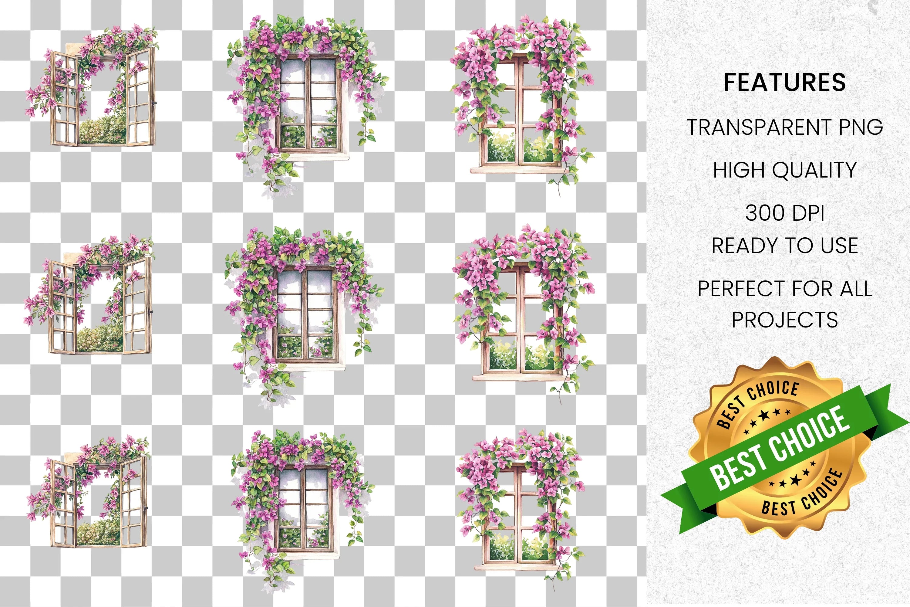 Bougainvillea Window Clipart Bundle