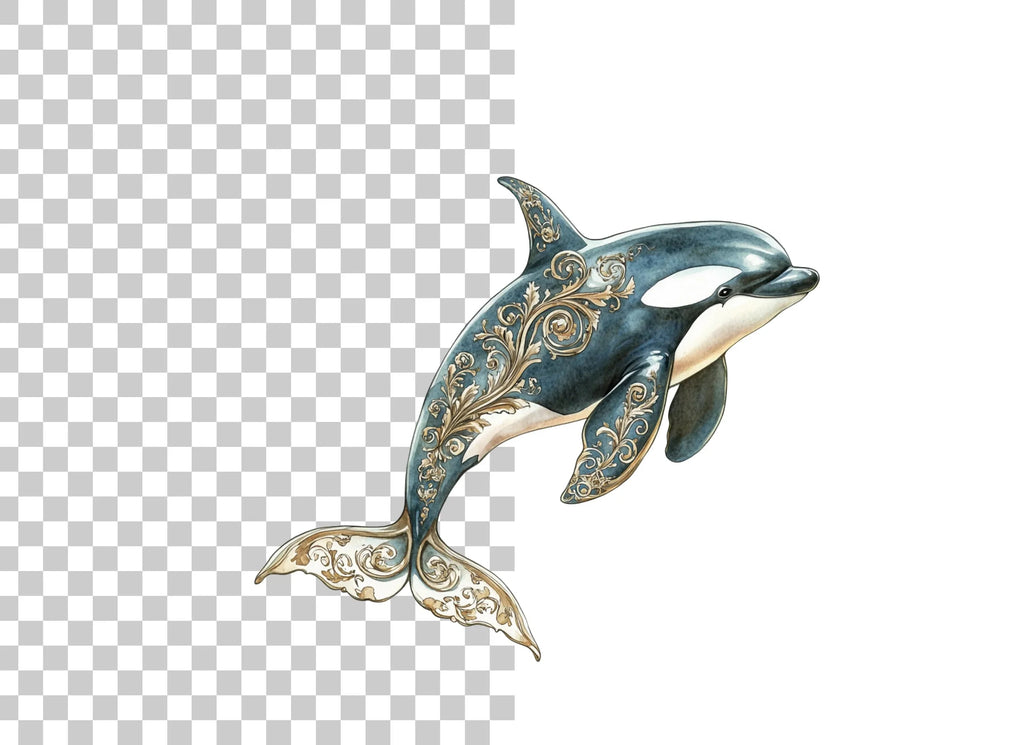 Elegant Orca Whale Clipart Bundle