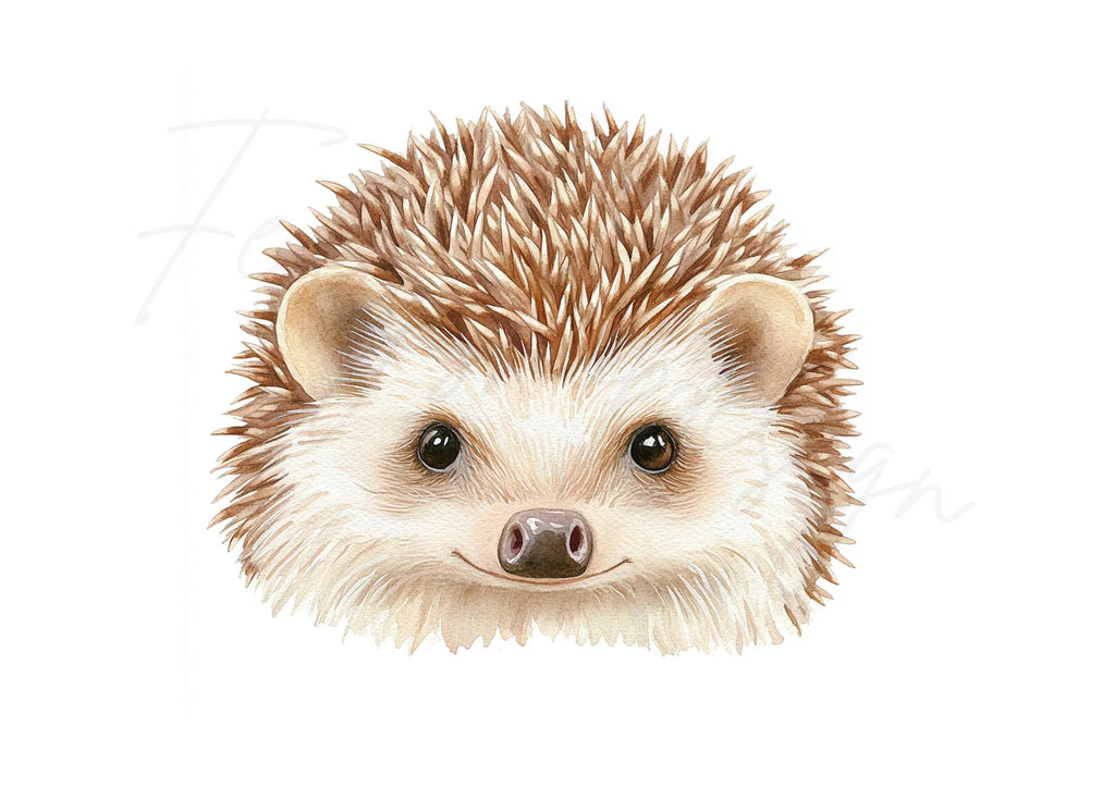Cute Hedgehog Clipart Bundle