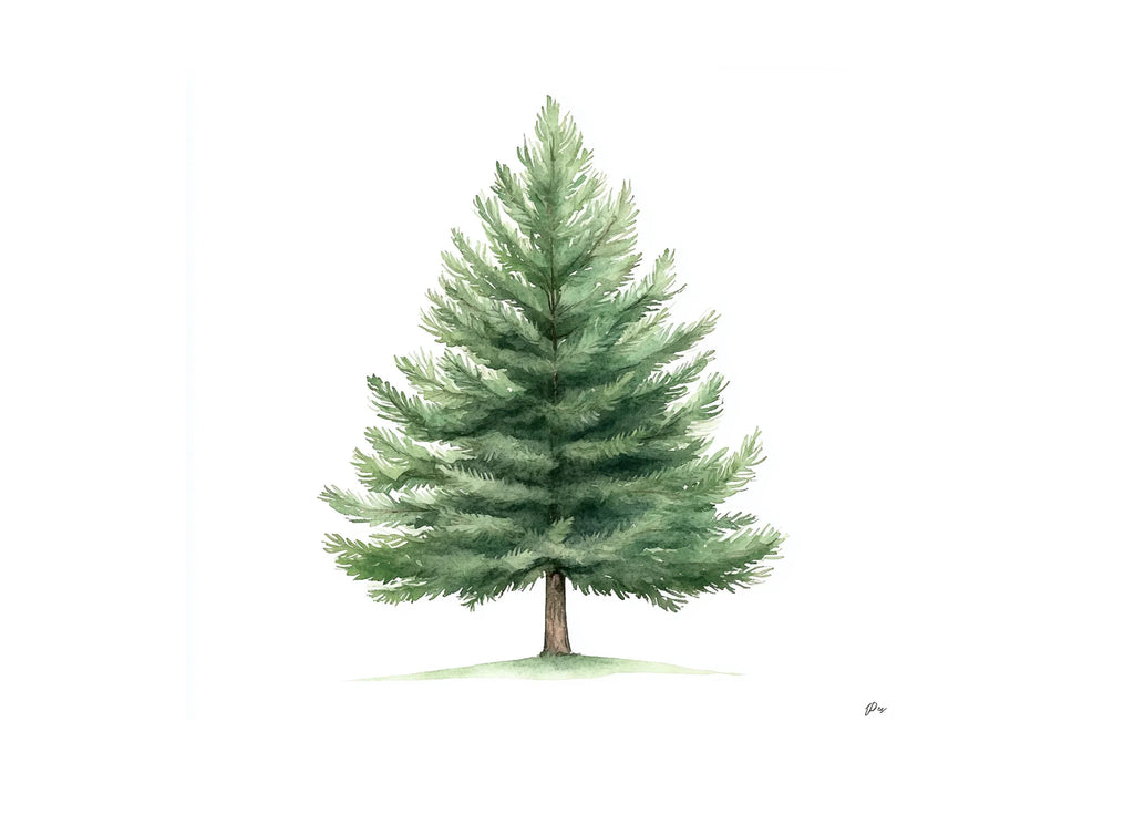 Pine Tree Clipart Bundle