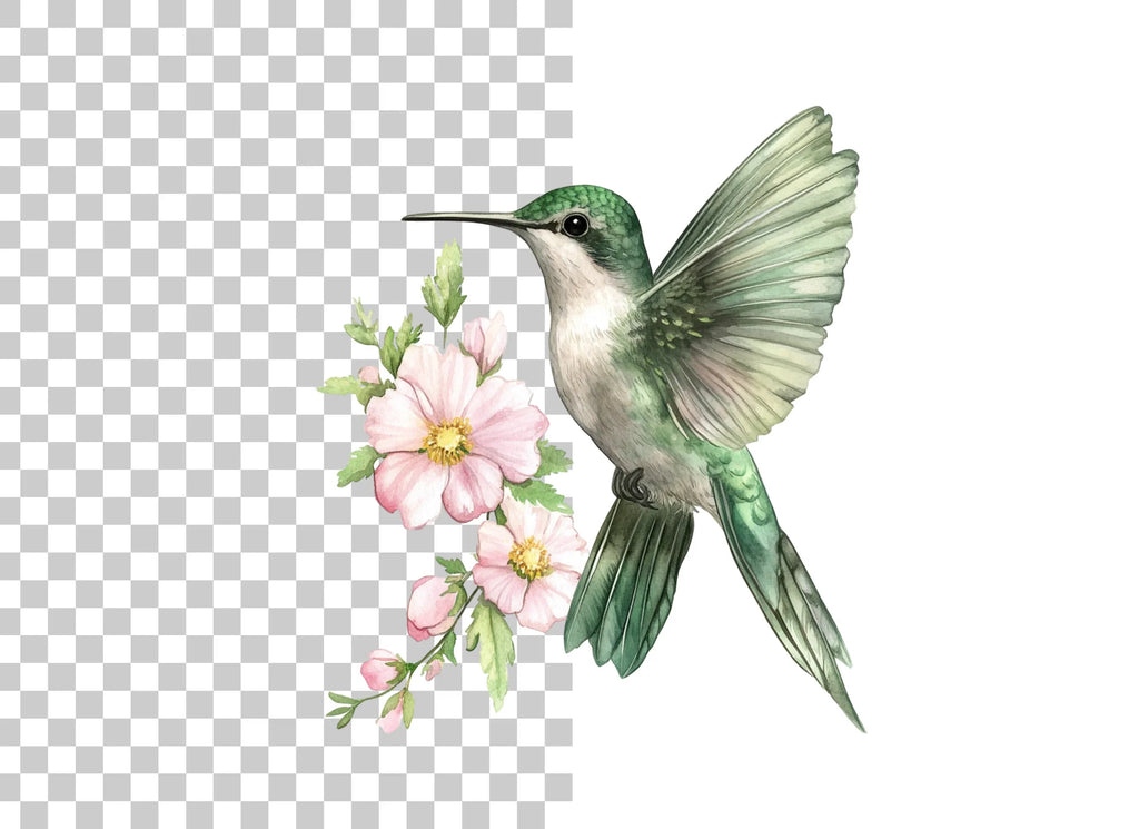 Hummingbird with Pink Blossoms Clipart Bundle