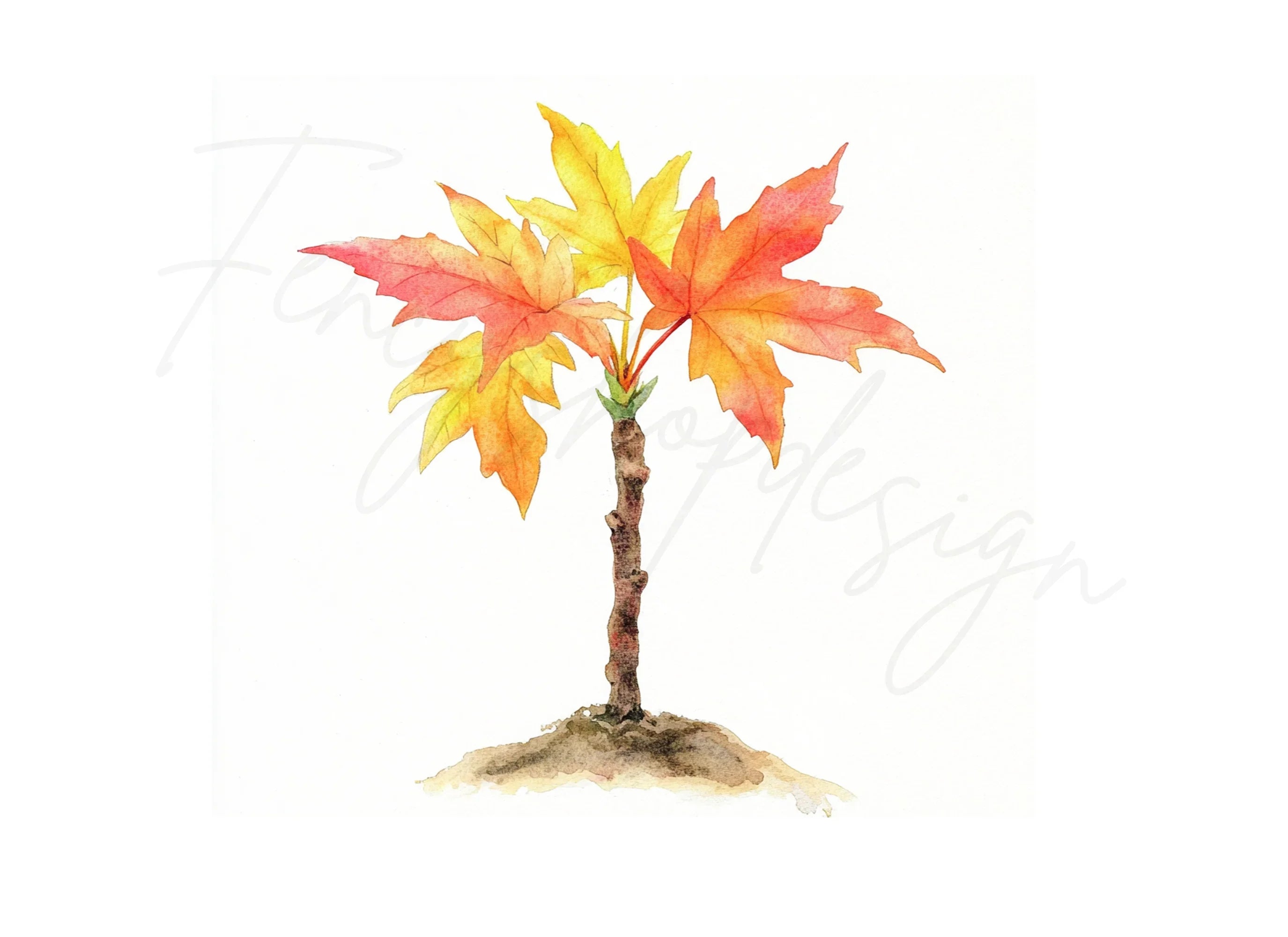 Autumn Maple Tree Clipart Bundle