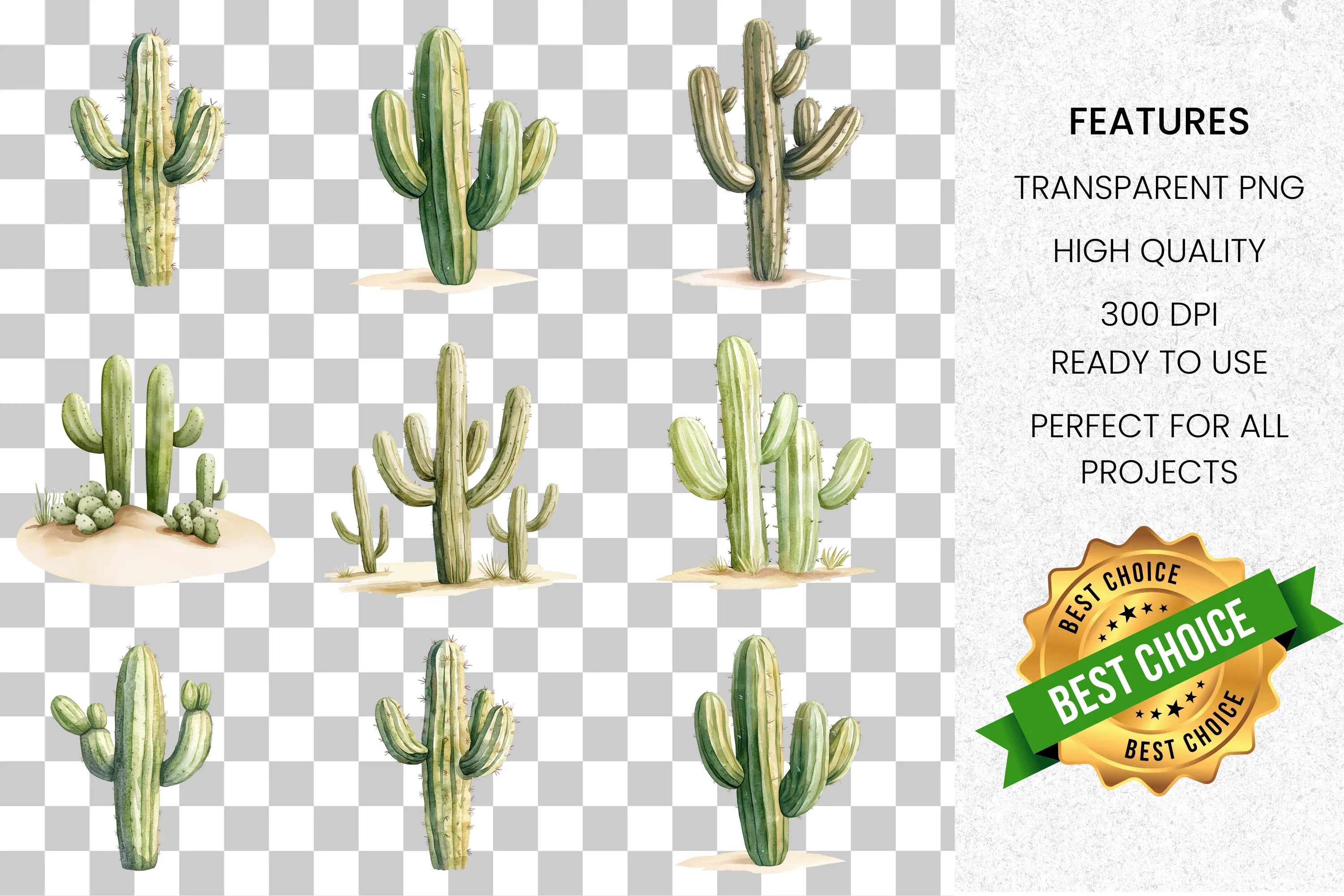 Desert Cactus Clipart Bundle