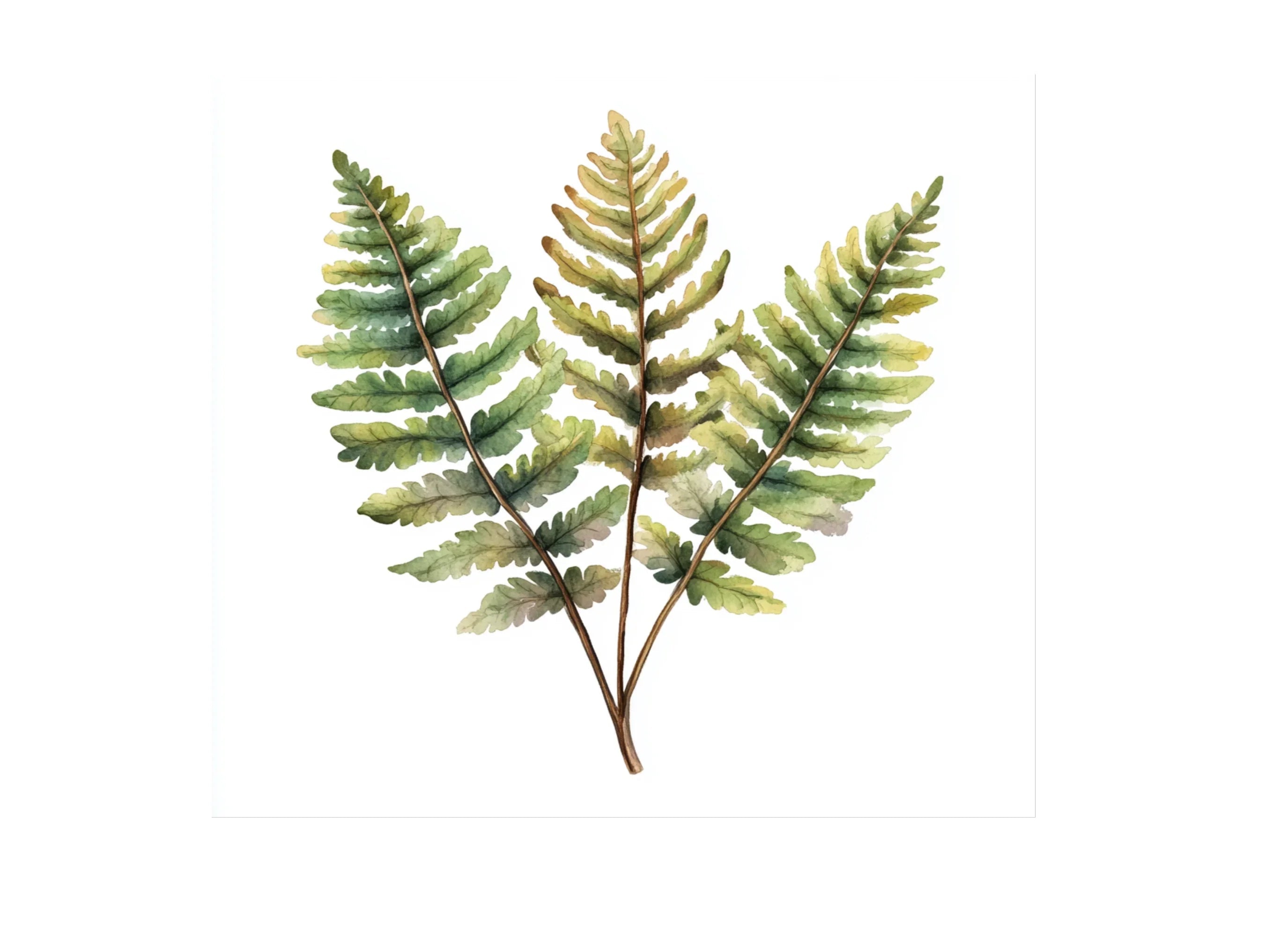 Autumnal Fern Clipart Bundle