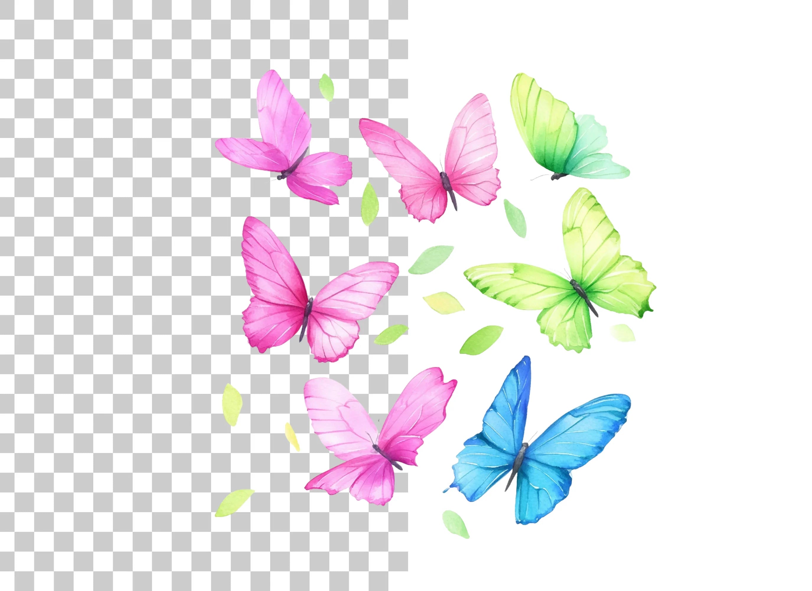 Vibrant Butterfly and Leaves Clipart Bundle