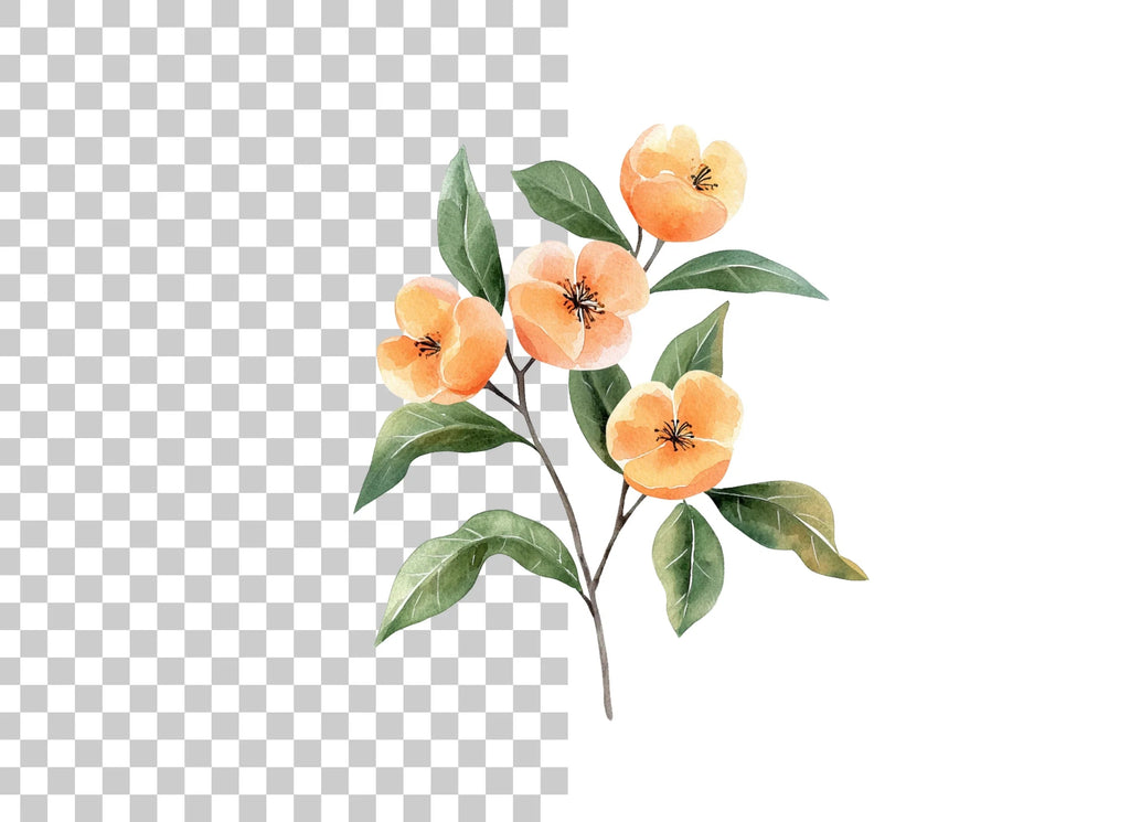 Orange Flower Branch Clipart Bundle