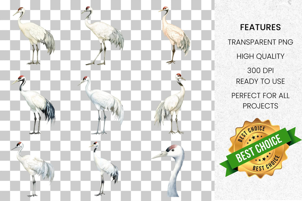 Elegant White Crane Clipart Bundle