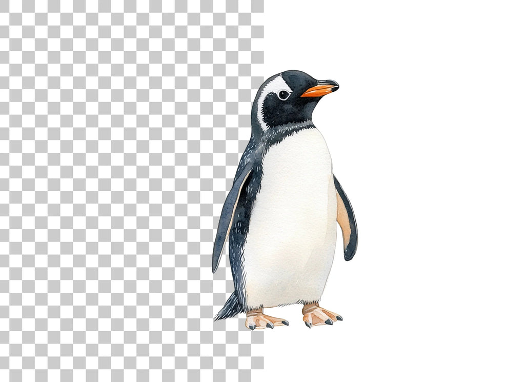 Gentoo Penguin Clipart Bundle