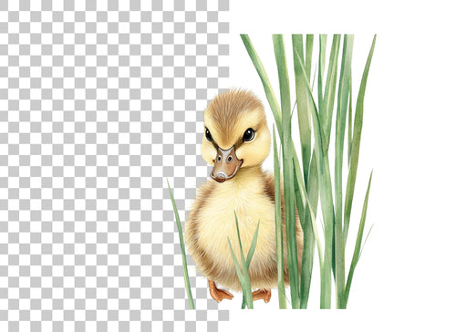 Adorable Ducklings in Green Grass Clipart Bundle
