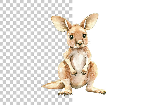 Adorable Baby Kangaroo Clipart Bundle
