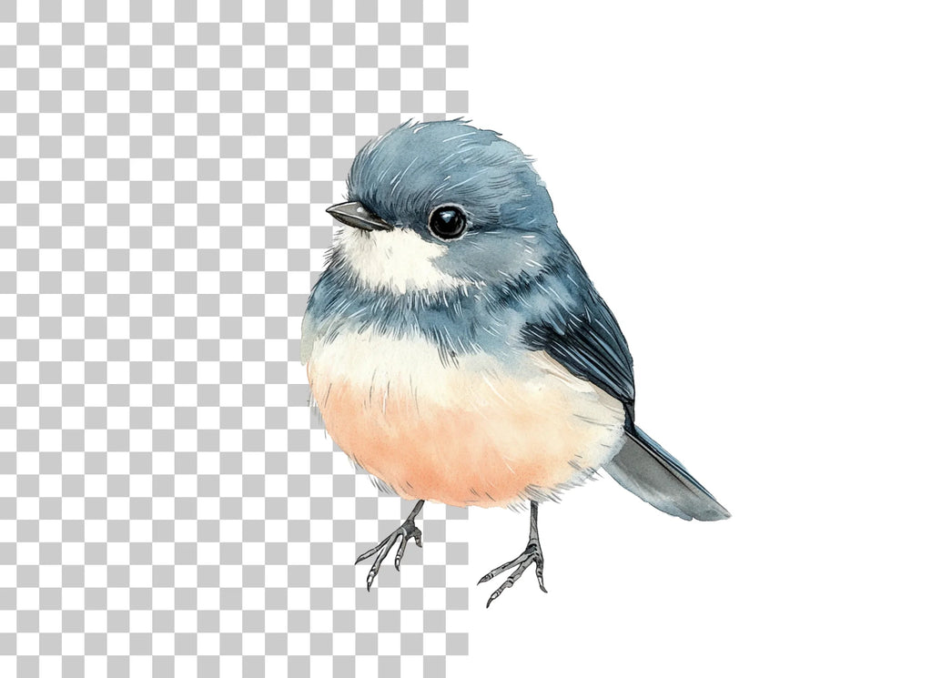 Cute Bird Clipart Bundle