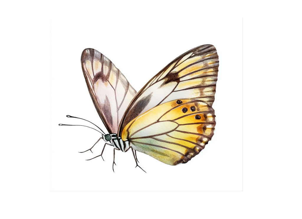 Yellow Butterfly Clipart Bundle