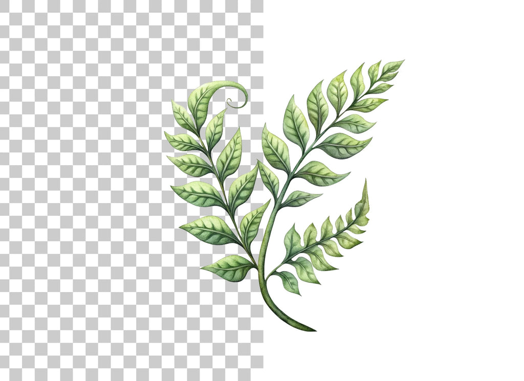 Elegant Green Fern Branch Clipart Bundle