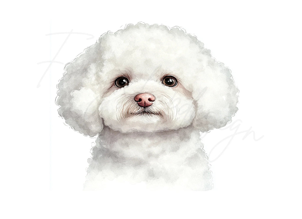 Bichon Frise Puppy Face Clipart Bundle