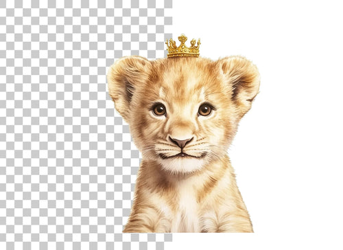 Adorable Lion Cub with Crown Clipart Bundle