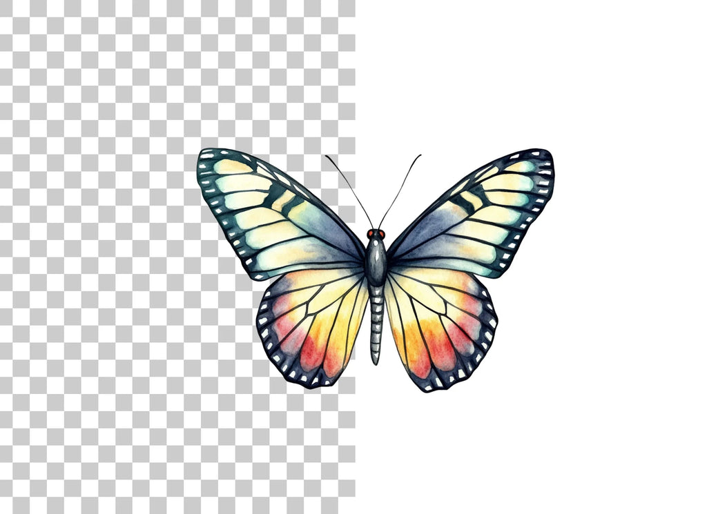 Colorful Butterfly Clipart Bundle