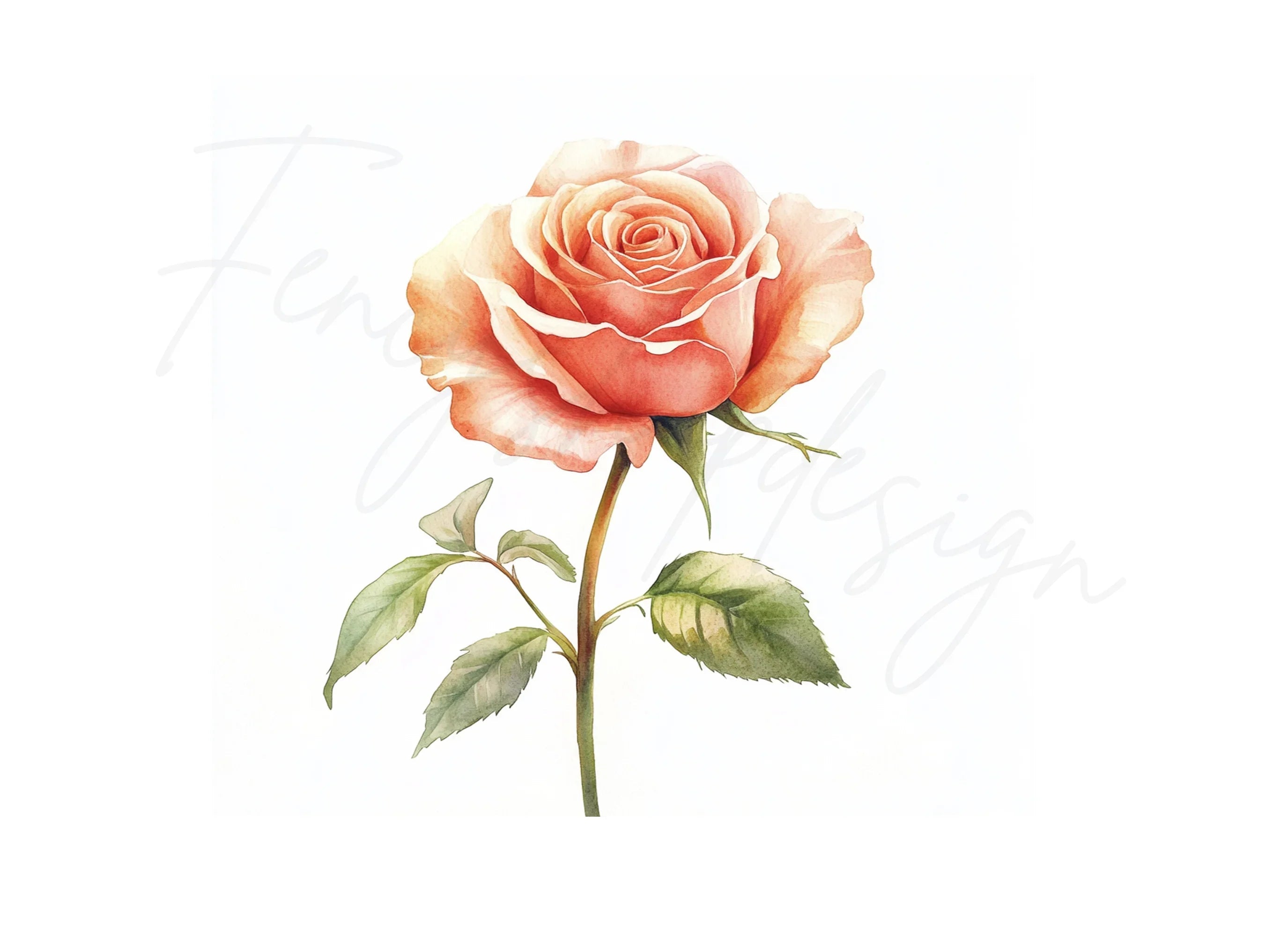 Peach Rose Clipart Bundle